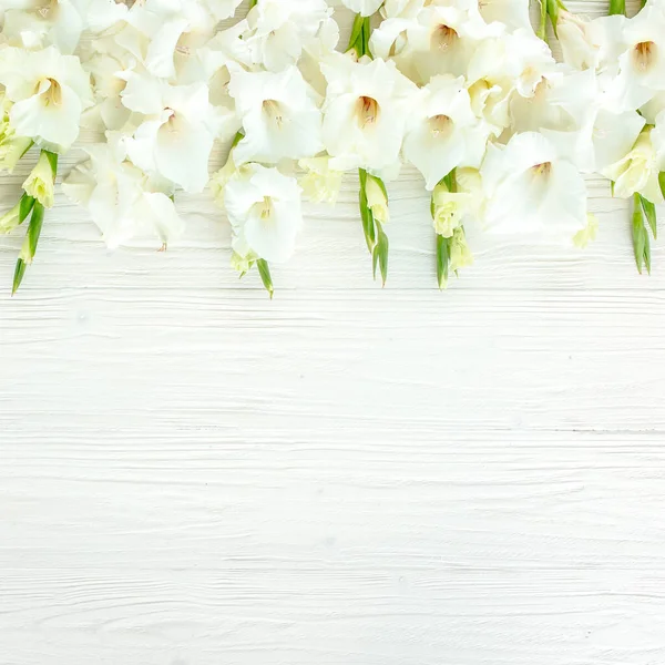 Weiße Gladiolen auf weißem Holzgrund. Gladiolenmuster mit Platz für Ihre Urlaubs-Grußkarte. Lay Flach, Draufsicht. Die Textur der Blumen. — Stockfoto