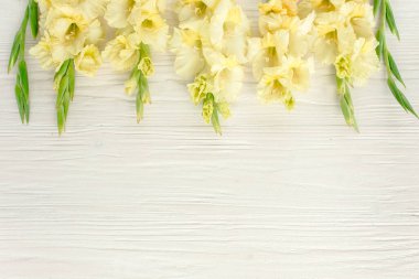 Tahta beyaz arka planda sarı gladioluslar. Gladioli bayram tebrik kartının çiçek deseni. Düz yerde, üst tarafta. Çiçek çerçevesi. Çiçek dokusu