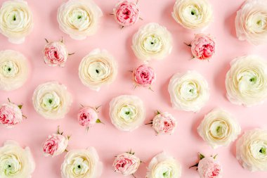 Pembe ranunculus ve pembe arka planda gül tomurcuklarından oluşan çiçek arkaplan dokusu. Düz yatar, üst görünüm çiçek arkaplanı.