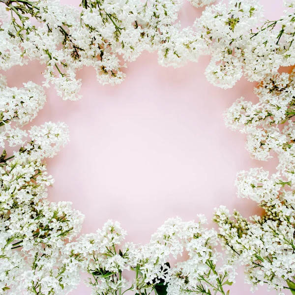 Hermosa lila blanca sobre un fondo rosa — Foto de Stock
