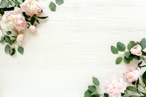 Marco fronterizo hecho de flores de peonías de color rosa y beige y aislado sobre fondo blanco. Asiento plano, vista superior. Marco de flores. — Foto de Stock