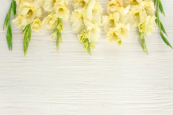 Gelbe Gladiolen auf weißem Holzgrund. Blumenmuster von Gladiolen Feiertagsgrußkarte. Flache Lage, Draufsicht. Rahmen von Blumen. Die Textur der Blumen — Stockfoto