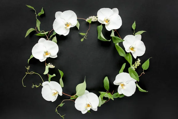Beyaz orkidelerin yuvarlak çerçevesi ve siyah arkaplanda yeşil yapraklar. Mesajın için boşluklu desen, bayram tebrik kartı. Düz yatış, üst görünüm. — Stok fotoğraf