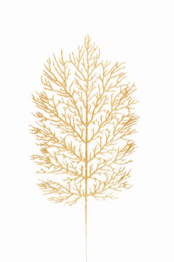 Beyaz arka planda altın yapraklar. Düz Yat, üst manzara. En küçük arkaplan.