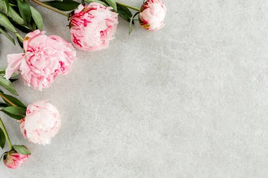 Gri taş masanın üzerinde güzel pembe şakayık çiçekleri ve metin için fotokopi alanı. Düz stil, üst görünüm