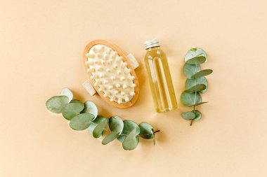 Spa tedavisi konsepti. Doğal, organik kaplıca ürünleri okaliptüs yağı, deniz tuzu, masaj fırçası, okaliptüs yaprağı özü. Spa arkaplanı