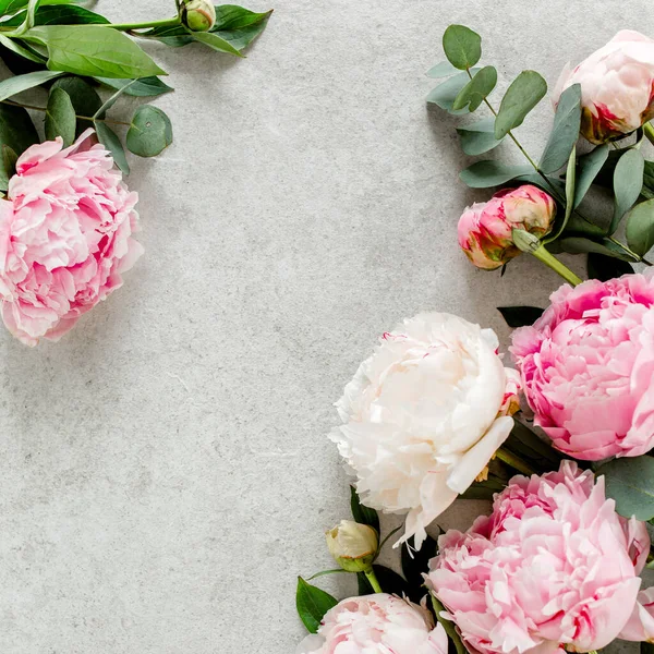 Bellissimi fiori di peonia rosa su tavolo in pietra grigia con spazio per copiare il testo. Stile piatto, vista dall'alto — Foto Stock