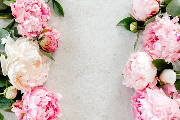 Piękne różowe kwiaty piwonii na szarym kamiennym stole z kopią miejsca na tekst. Styl płaski, widok z góry — Zdjęcie stockowe