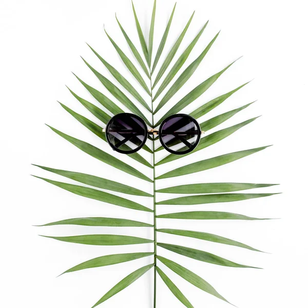 Tropisch hipsterblad in zonnebril op witte achtergrond. Plat leggen, bovenaanzicht — Stockfoto