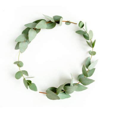 Okaliptüsten yapılmış çelenk, beyaz arka planda izole edilmiş yapraklar. Düz yerde, üst tarafta. Çiçek konsepti