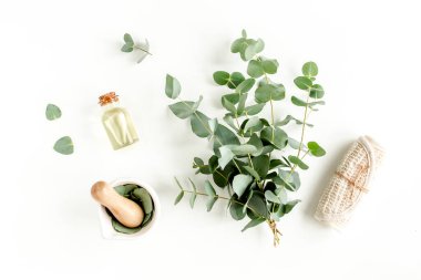 Bir şişe okaliptüs esaslı yağ, beyaz arka planda okaliptüs yaprakları. Doğal organik kozmetik ürünleri. Düz yatış, üst görünüm.