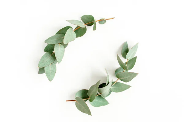 Couronne faite de branches d'eucalyptus, feuilles isolées sur fond blanc. Couché à plat, vue de dessus. concept floral — Photo