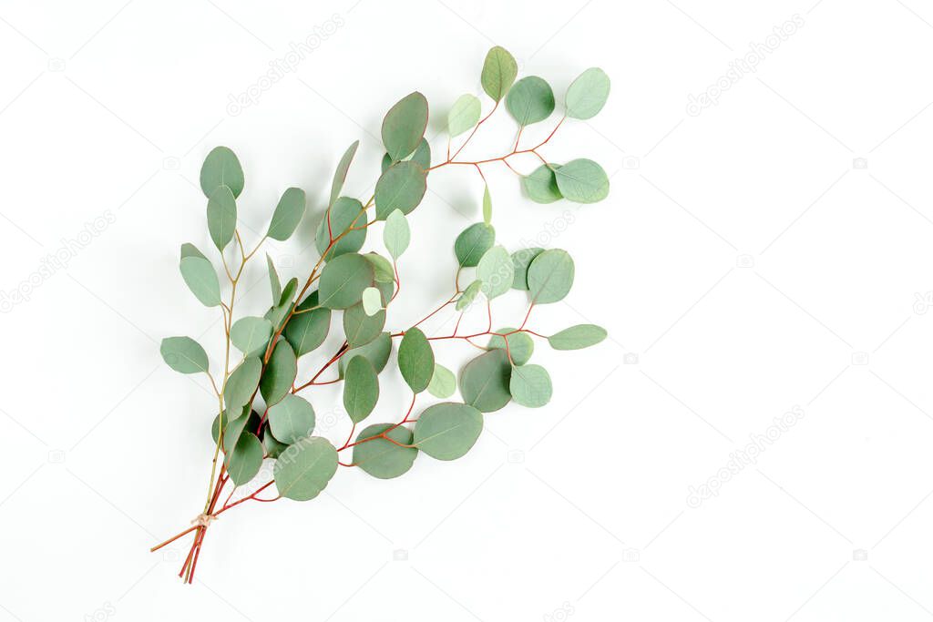 Eucalyptus bouquet on a white background. Flat lay, top view.