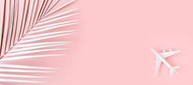 Beyaz model uçak, uçak ve pembe arka planda palmiye yaprağı. Üst manzara, düz yatış. Pankart.