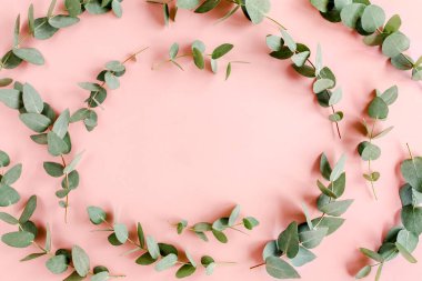 Çerçeve, okaliptüs dallarından yapılmış şablon, pembe arkaplanda izole edilmiş yapraklar ve pamuk ve metin için boş alan. Düz yatış, üst görünüm. 