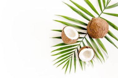 Tropik yeşil palmiye yaprağı ve beyaz arka planda çatlak hindistan cevizi. Doğa konsepti. düz yatış, üst görünüm