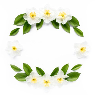 Beyaz çiçekli narsisli yuvarlak çerçeve, papatya tomurcukları, dallar ve beyaz arka planda izole edilmiş yapraklar. Düz uzan, üst görünüm