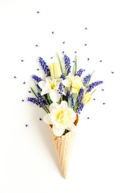 Mavi çiçekli gözleme konisi muscari ve nergis. Minimum çiçek konsepti tebrik kartı. Düz yatış, üst görünüm. 