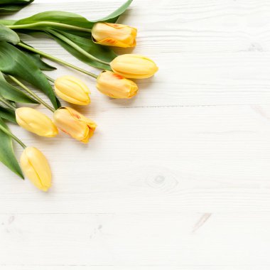 Sarı laleler beyaz, ahşap bir arka planda izole edilmiş. Düz uzan, üst görünüm