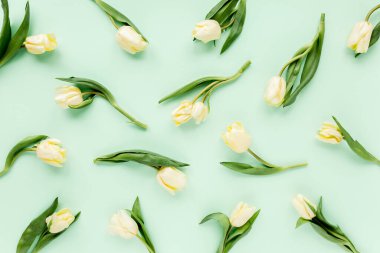 Yeşil arka planda sarı laleden yapılmış çiçek deseni. Düz yerde, üst tarafta. Sevgililer Günü geçmişi. Çiçek deseni. Çiçek deseni. 