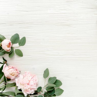 Kenar çerçevesi pembe ve bej şakayıklardan yapılmış ve beyaz arka planda izole edilmiş. Düz yerde, üst tarafta. Çiçek çerçevesi.