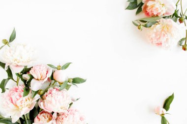 Kenar çerçevesi pembe ve bej şakayıklardan yapılmış ve beyaz arka planda izole edilmiş. Düz yerde, üst tarafta. Çiçek çerçevesi.