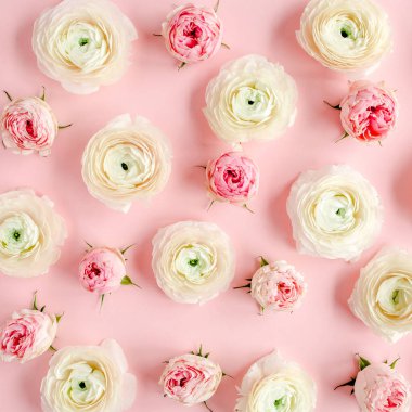 Pembe ranunculus ve pembe arka planda gül tomurcuklarından oluşan çiçek arkaplan dokusu. Düz yatar, üst görünüm çiçek arkaplanı.