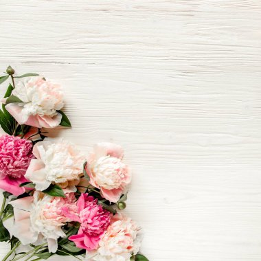 Kenar çerçevesi pembe ve bej şakayıklardan yapılmış ve beyaz arka planda izole edilmiş. Düz yerde, üst tarafta. Çiçek çerçevesi.