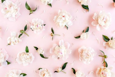 Pembe arka planda pembe ve bej renkli şakayık çiçekleri. Şakayık desenli. Düz yatış, üst görünüm. 