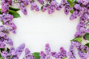 Ahşap beyaz arka planda güzel mor leylak