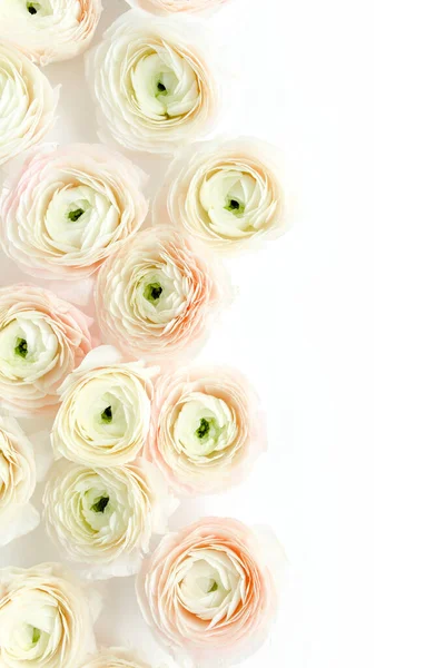 Texture de fond floral faite de bourgeons floraux de ranunculus rose sur fond blanc. Couché plat, vue sur le dessus fond floral. — Photo