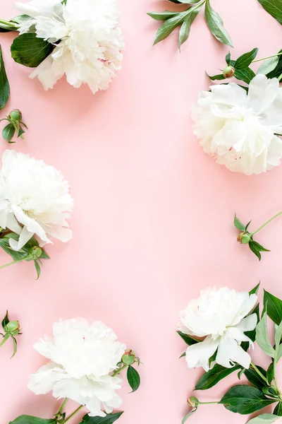 Cornice di fiori di peonia bianca con spazio per testo su sfondo rosa. Texture di peonia. Posa piatta, vista dall'alto. — Foto Stock