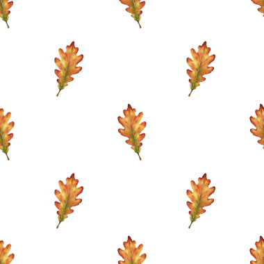 Sonbahar yapraklı suluboya desenli. Kırmızı, turuncu ve yeşil renkte meşe yaprakları. Tekstil, ambalaj, kırtasiye, duvar kağıdı ve mevsimlik dekorasyon için.