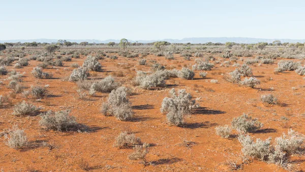 Paisagem Deserto Solo Vermelho Australiano Área Remota Árida Austrália Sul — Fotografia de Stock