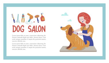 Sevimli köpek damat salonu. Vektör çizim styling ve Dükkanı, evde beslenen hayvan stok köpek ve kedi için bakım evde beslenen hayvan Kuaför Salonu için. 
