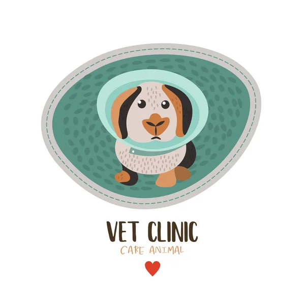 Veterinair Zorgvuldigheid Sticker Vectorillustratie Voor Veterinaire Kliniek Schattige Kleine Konijn — Stockvector