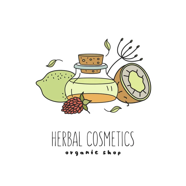 Herbal cosmetics, natural oil. Vector hand drawn illustration for natural eco cosmetics store. Lemon and coconut oil.