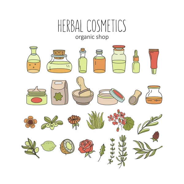 Herbal cosmetics, natural oil. Vector hand drawn illustration for natural eco cosmetics store. A large set of jars with natural oils and ingredients. Plants and flowers.