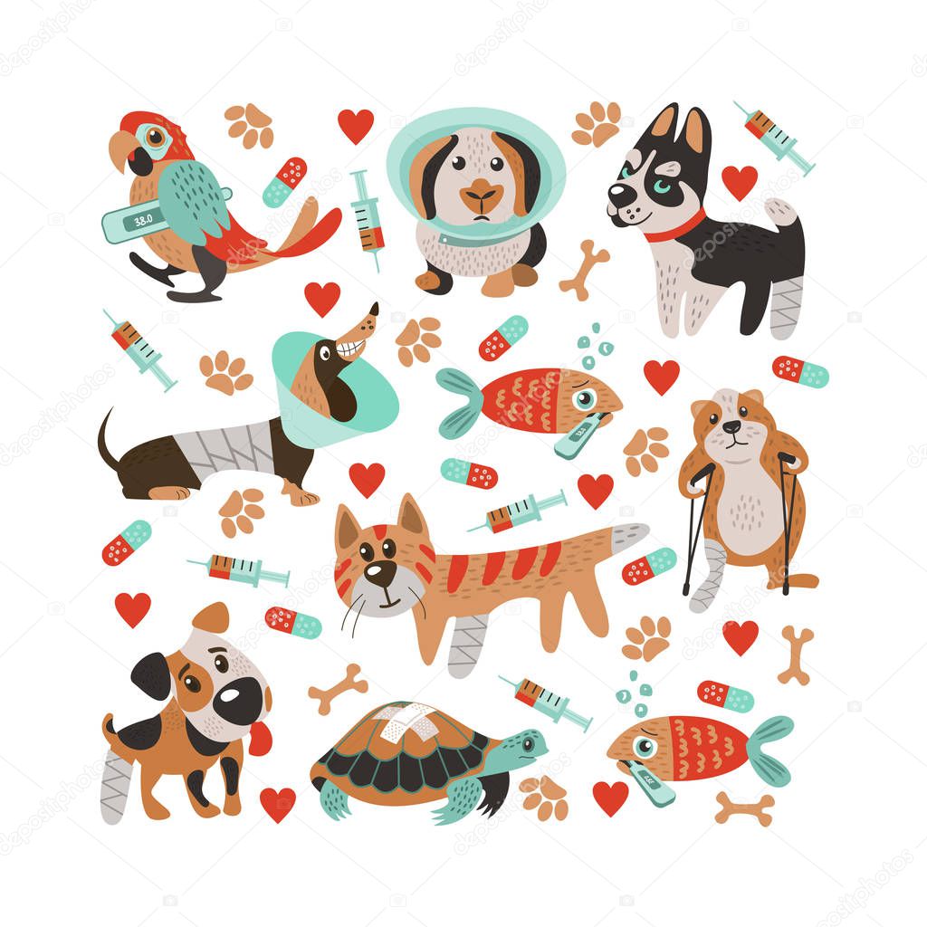Collage in the shape of a square. Cute sick animals with broken legs and fever. In a cartoon style. Cute template for veterinary clinics, veterinary pharmacies and animal shelters.