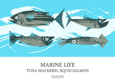 Deniz ürünleri. Balık. Renkli vektör illüstrasyonu, bir ima koleksiyonu