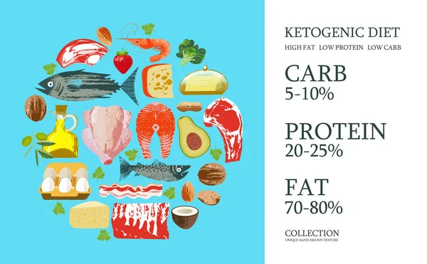 Ketogene Ernährung. eine große Auswahl an Produkten für die Keto-Diät. Vecto — Stockvektor