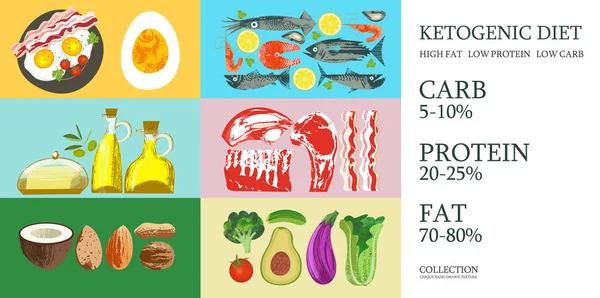 Ketogene Ernährung. eine große Auswahl an Produkten für die Keto-Diät. Vecto — Stockvektor
