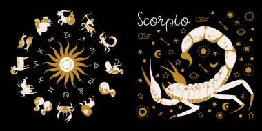 Zodiac burcu Scorpio. Çemberin içinde tam yıldız falı var. 12 işaret vektörlü burç burcu. Koç; Taurus; Gemini; Kanser; Aslan; Başak; Terazi; Akrep; Yay; Oğlak; Kova; Balık