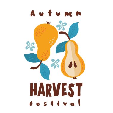 Hasat festivali. Beyaz arka planda vektör logosu. İki sarı olgun armut..