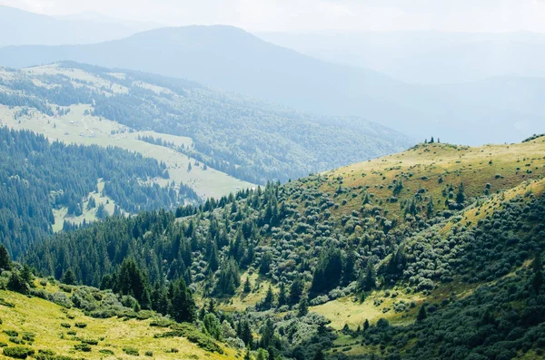 Vue Des Carpates Depuis Différents Sommets — Photo