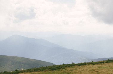 Karpatlar, yeşil ormanıyla kaplı tepeler Dağı manzaraları.