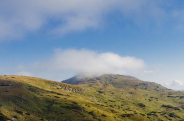 Doğal manzaralı sis kefen herdem yeşil iğne yapraklılar ile düşük yalancı bulutta ormanlık dağ yamacı. Ukrayna Karpat