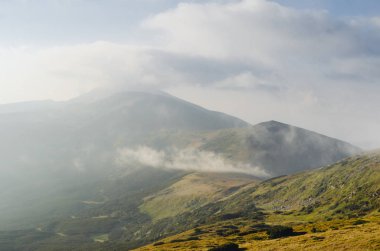 Doğal manzaralı sis kefen herdem yeşil iğne yapraklılar ile düşük yalancı bulutta ormanlık dağ yamacı. Ukrayna Karpat