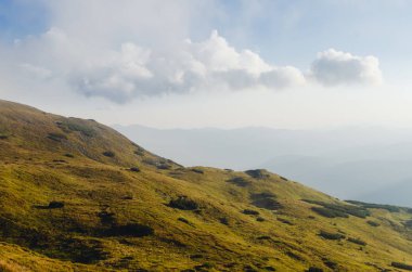 Doğal manzaralı sis kefen herdem yeşil iğne yapraklılar ile düşük yalancı bulutta ormanlık dağ yamacı. Ukrayna Karpat