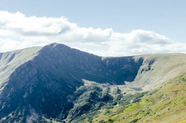 Doğal manzaralı sis kefen herdem yeşil iğne yapraklılar ile düşük yalancı bulutta ormanlık dağ yamacı. Ukrayna Karpat
